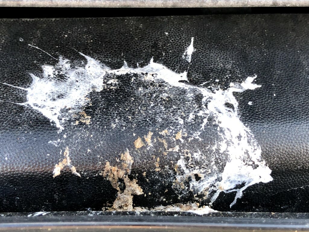 Fugleklat på bilen
