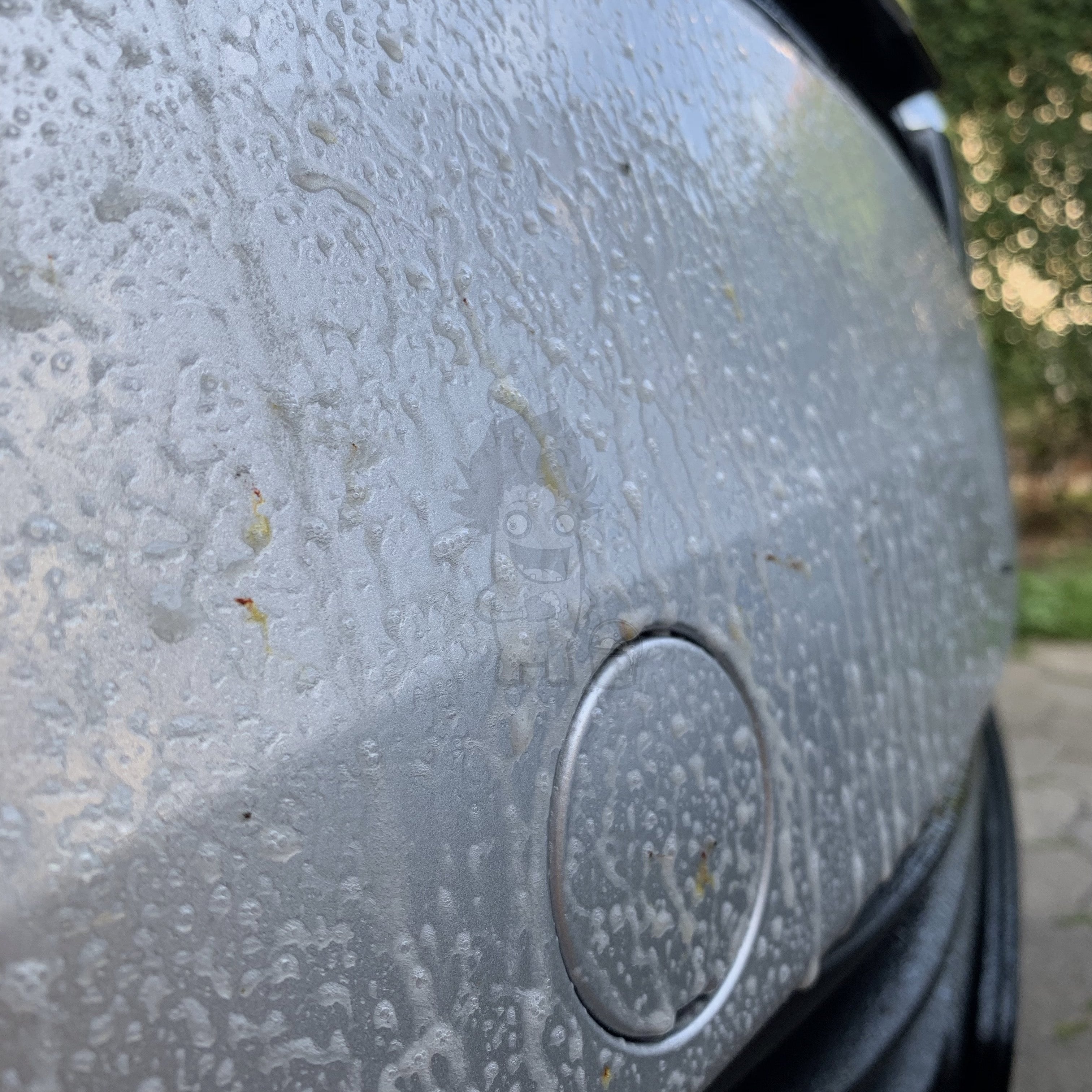 Auto Glanz Bug Off Insektrengöring