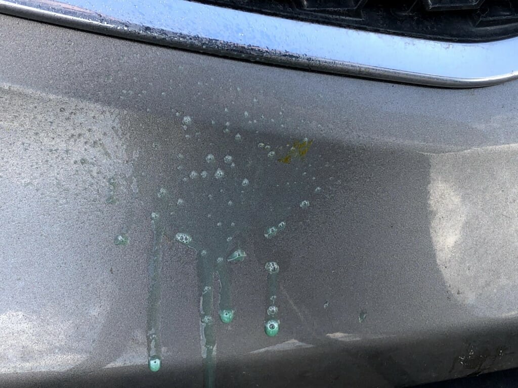 Poorboys Bird Shit remover sprøjtet på